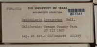 Image Associated With the Occurence